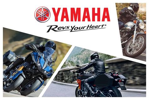 Top Speed Motorcycle Buying Guide for the 2019 Yamaha Lineup